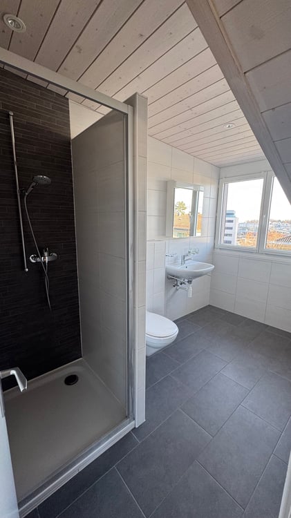 À louer appartements 1.5 pièces 5