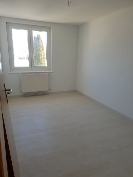 Apparemment 1.5 pièces 3