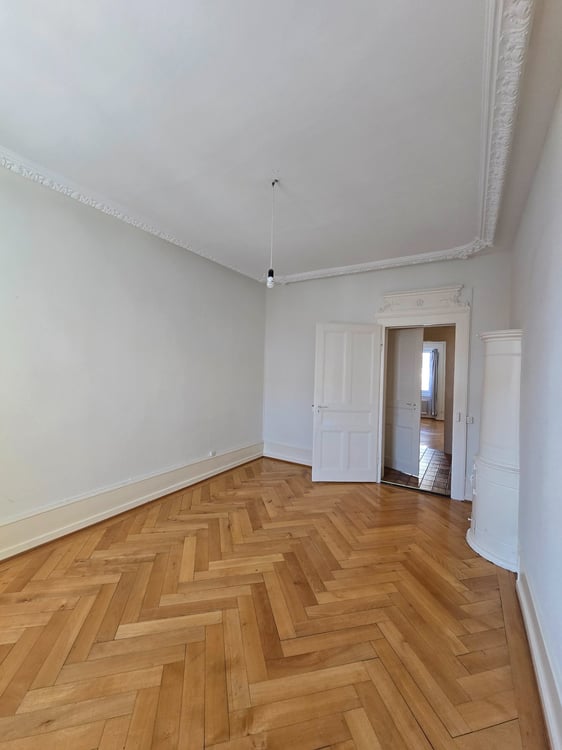 Spacieux appartement lumineux de 1 pièces au charme ancien 4