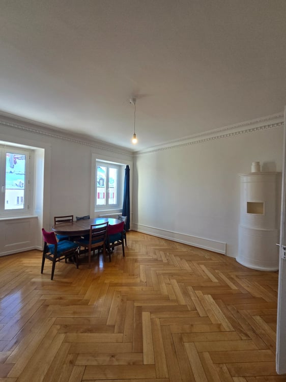 Spacieux appartement lumineux de 1 pièces au charme ancien 2