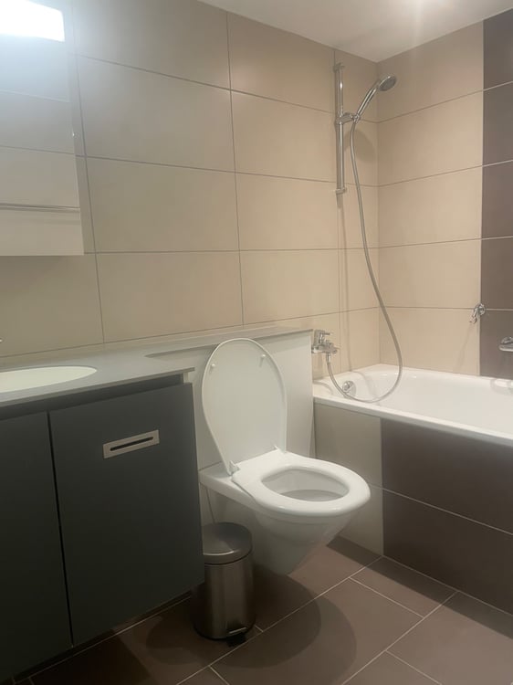 Appartement centre-ville 5