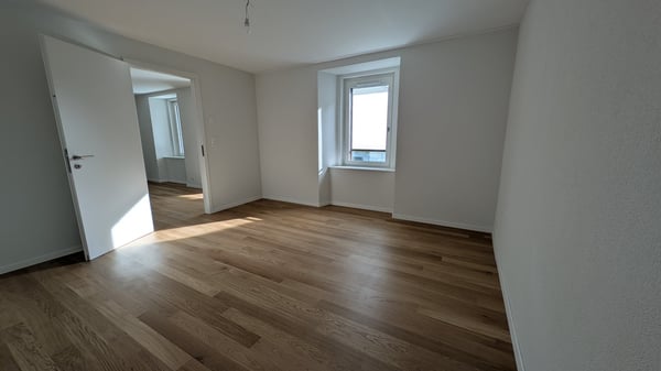 1.5 pièces rénové à neuf avec vue sur le lac 5