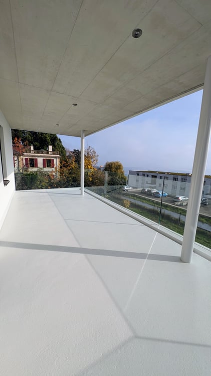 1.5 pièces rénové à neuf avec vue sur le lac 2