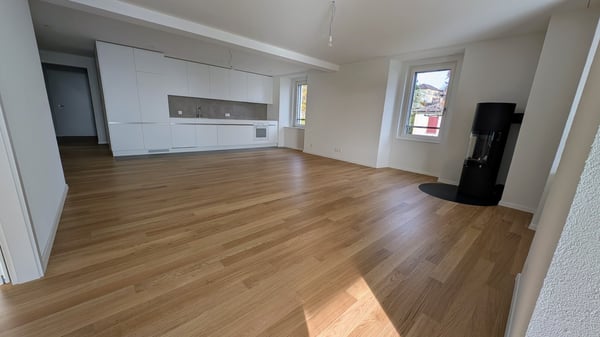 1.5 pièces rénové à neuf avec vue sur le lac 1