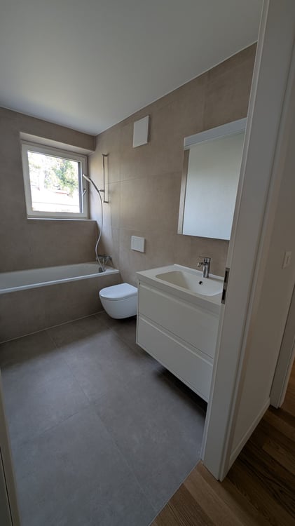 1.5 pièces rénové à neuf avec vue sur le lac 3