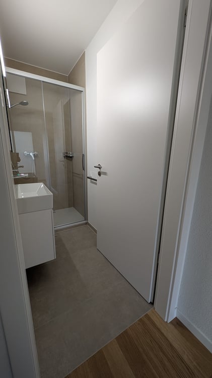 1.5 pièces rénové à neuf avec vue sur le lac 4