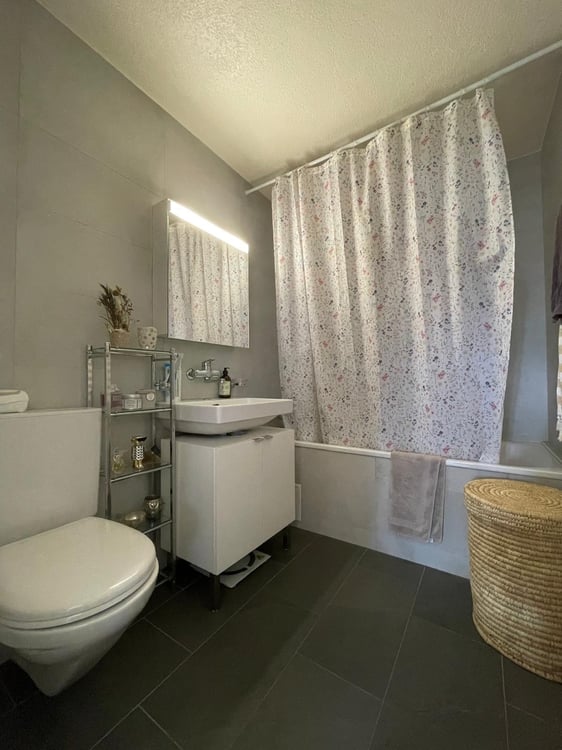 Grand et lumineux 1.5 pièces 2