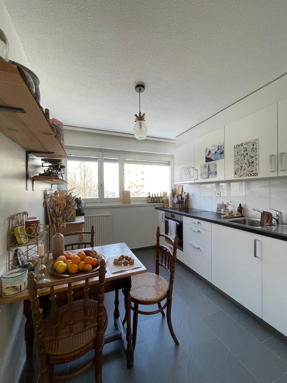 Grand et lumineux 1.5 pièces 3