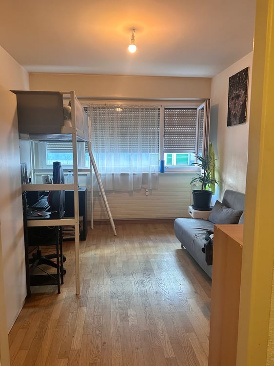 studio rue de berne 1