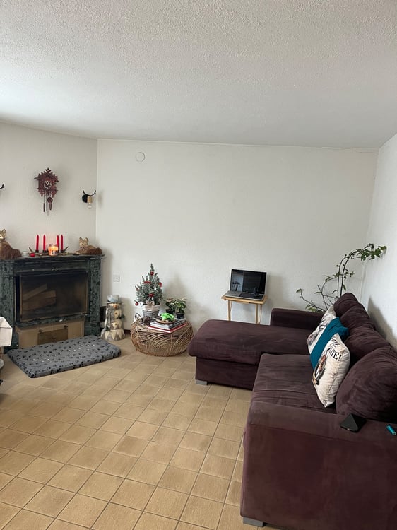 Appartement dans maison rustique 4