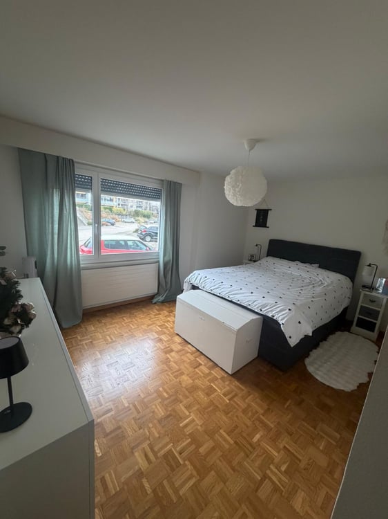 Appartement de 1 pièces à louer à Colombier 5