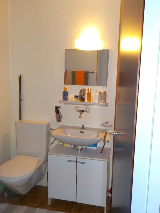 Appartemant à louer Fribourg 3