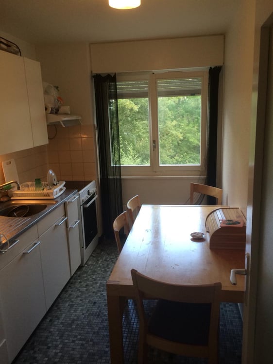 Colocataire  à Morges 1