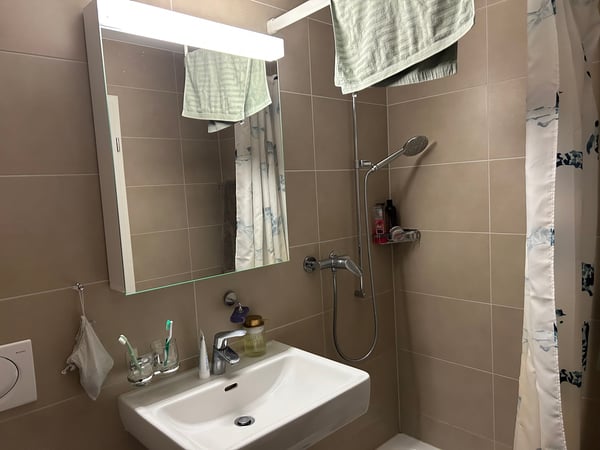 Joli appartement de 1.5 pièces au centre ville 5