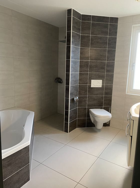 Magnifique et lumineux 1.5 pièces 3