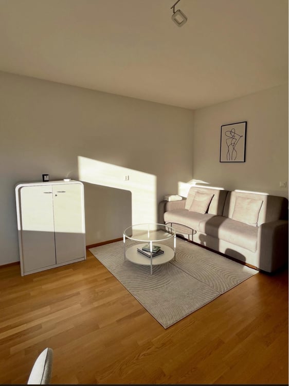 Studio meiblé centre ville de Sion 3