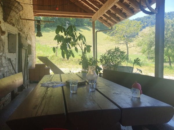 Cherche colocataire, ancienne ferme avec chèvres et équidés 3