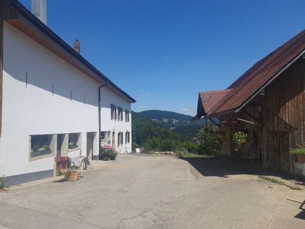 Cherche colocataire, ancienne ferme avec chèvres et équidés 1