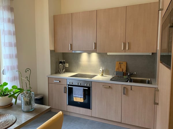 Small apartment lease takeove- GENEVA, mid-January 2026 4