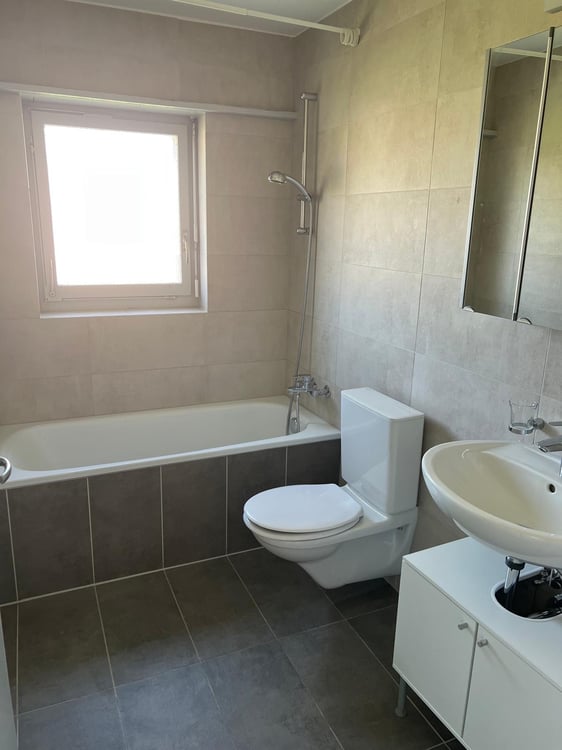 1.5 Zimmerwohnung mit Balkon in Lostorf 4