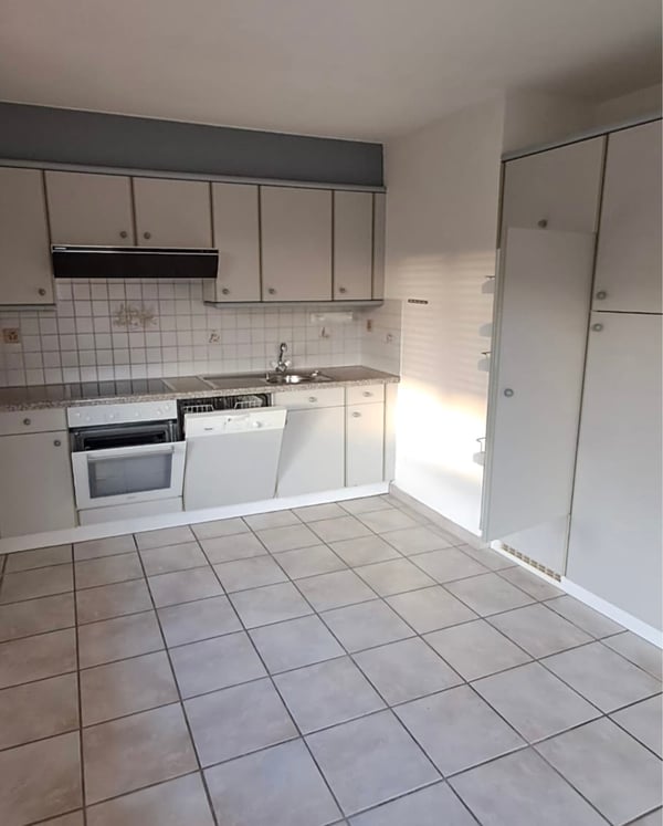 APPARTEMENT - 1'130 CHF - 1.5 PCS + BALCON - 3