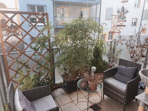 Charmant petit logement en plein centre 3