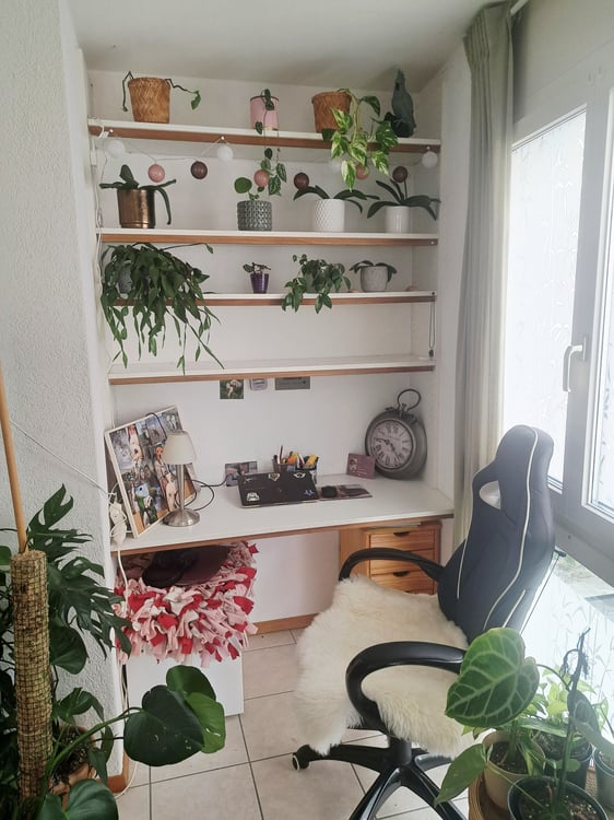 Charmant petit logement en plein centre ville 2