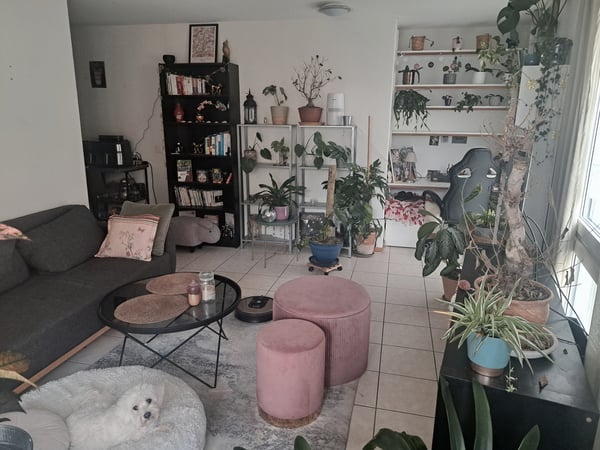 Charmant petit logement en plein centre ville 8