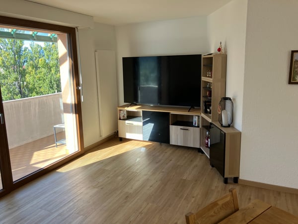 Attique 1.5 pièces rénové avec vue imprenable Vissigen 3