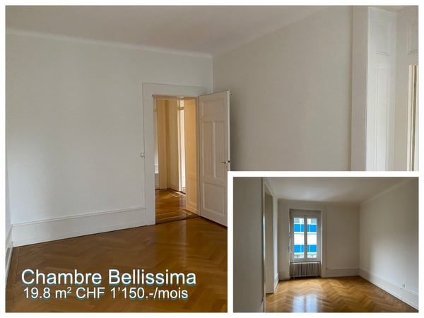 2 grandes chambres en colocation au centre ville de Genève 2