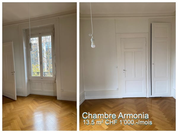 2 grandes chambres en colocation au centre ville de Genève 3