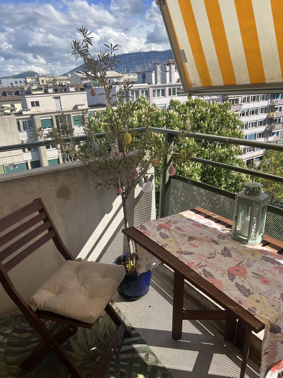 URGENT Lumineux app. 1 pièces, 17 m2 à St-Jean, début 1.2.26 1