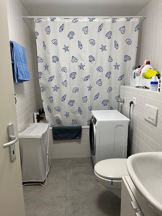 Bright and modern 1.5-room flat with lake and mountain view 5