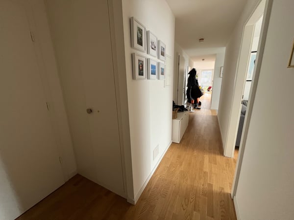 Bright and modern 1.5-room flat with lake and mountain view 2