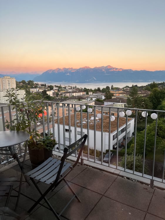 Bright and modern 1.5-room flat with lake and mountain view 1