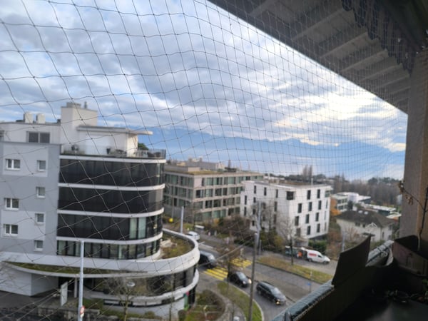 Appartement à louer 1