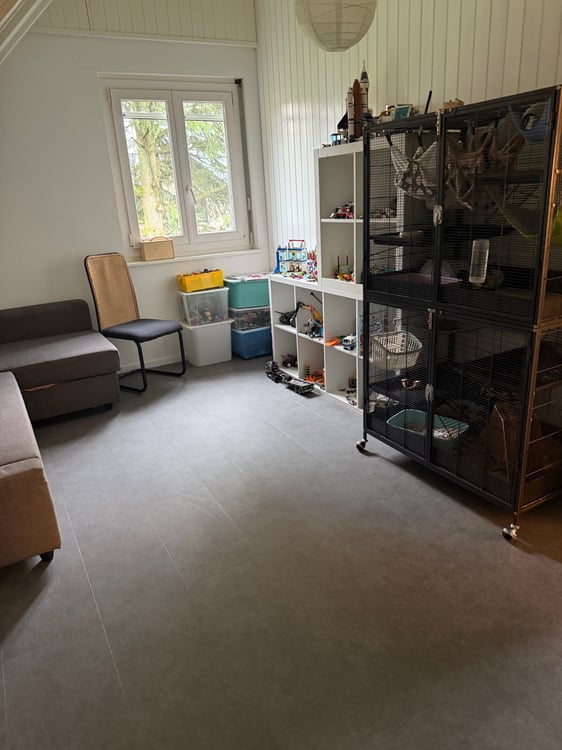 Appartement à louer avec jardin 3