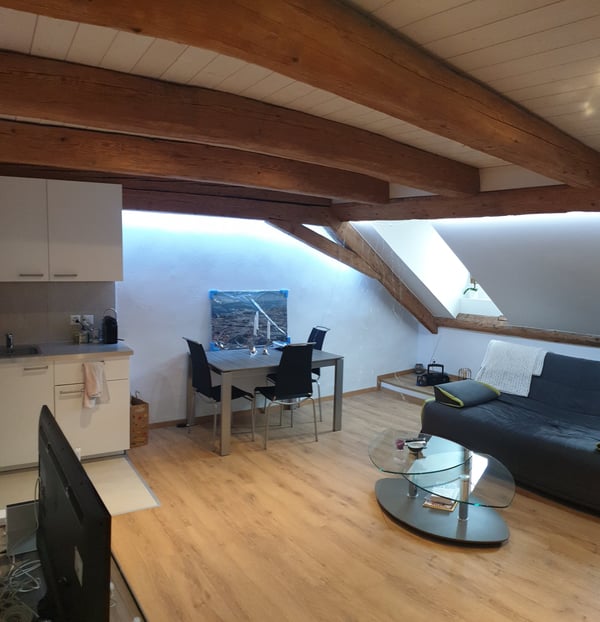Magnifique duplex/attique avec accès direct ascenseur 80 m2 2