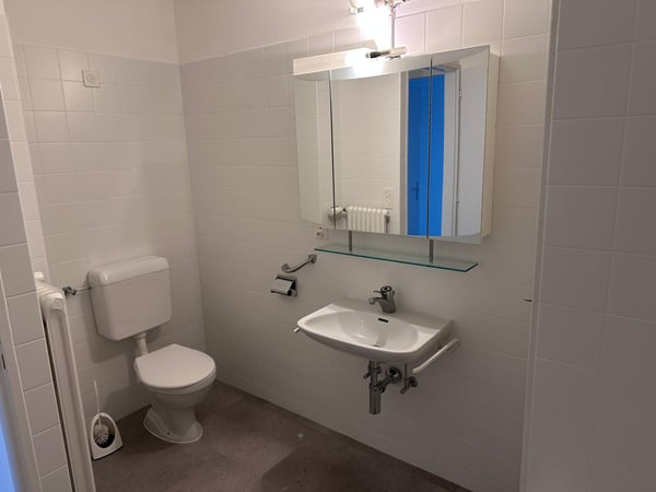 Grand appartement 1 pièces entièrement rénové 4