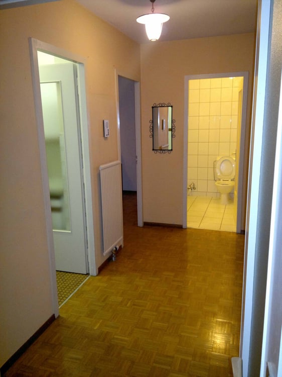 Appartement 1.5pcs libre dès 01 janvier 5