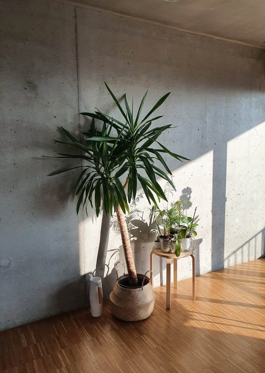 Ensuite w/t private balcony - Chambre SdB privative & balcon 3