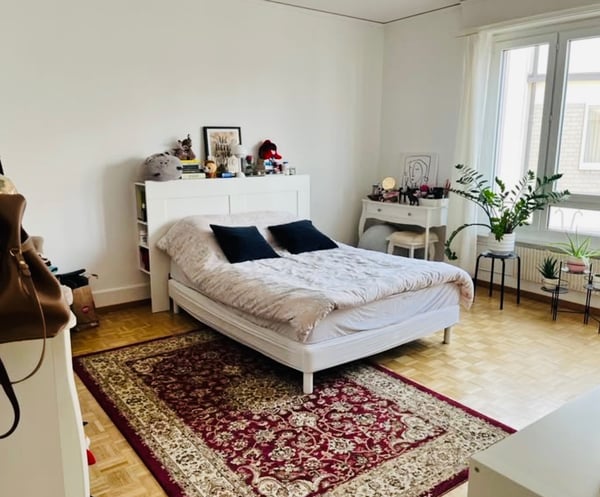 Une grande chambre dans un appart au centre 1