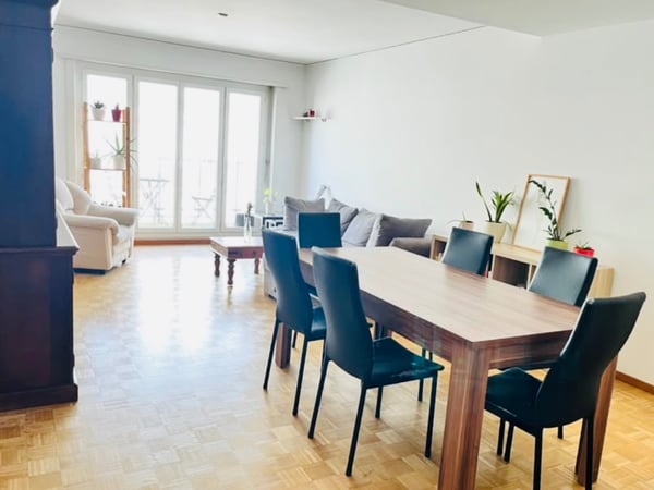 Une grande chambre dans un appart au centre 2