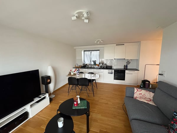 Appartement 1.5 pièces au 6 avec grande terrasse 1
