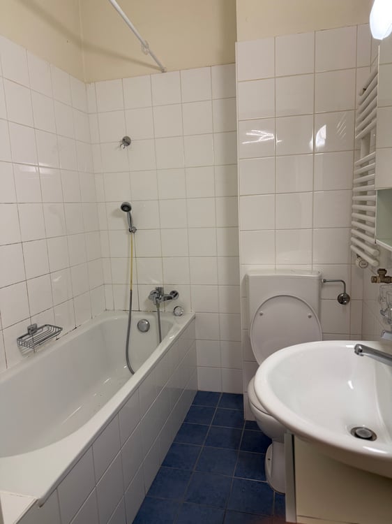 Grand studio à louer 5