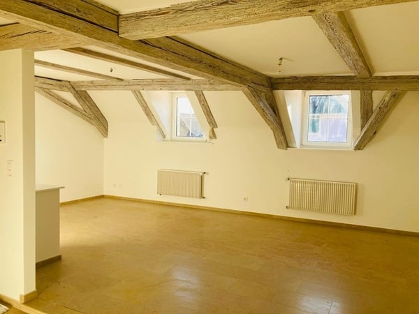 1.5 pces très lumineux en vieille ville 2