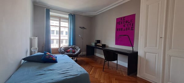 Six pièces meublé, centre-ville Genève, spacieux, lumineux 5