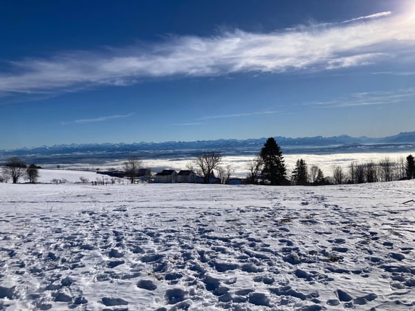 Vorschaubild der Immobilie