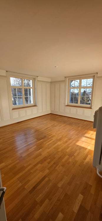 Grosszügige 1½-Zimmer-Wohnung in Jugendstilhaus 2