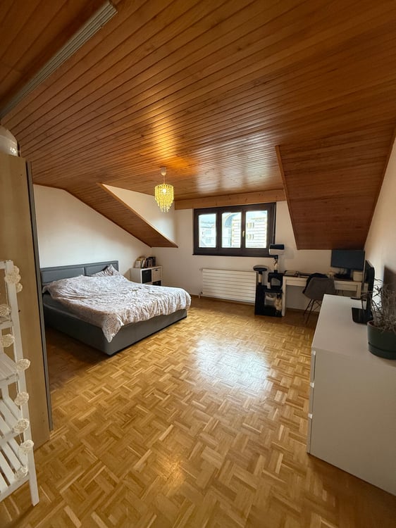 Charmant 1.5 pièces avec vue sur le Léman 3